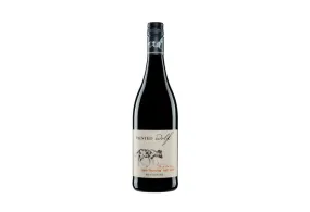 Painted Wolf - Madach - Cape Hunting Red 2018